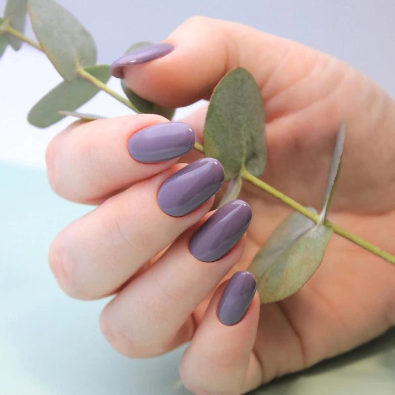 Luxio® Willow (TPO-Free)